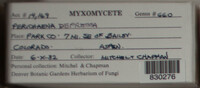 Image Associated With the Occurence
